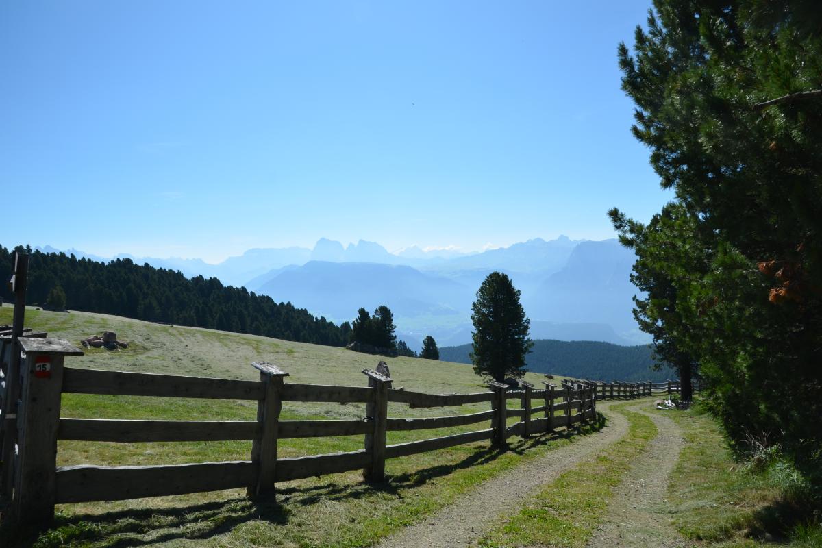 Latschenoelbrennerei und Platzer Alm 23.07.2019